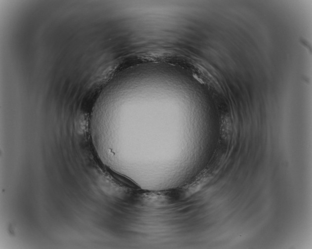 X0000096670284200802191336