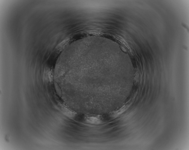 X0000096670285200802191336
