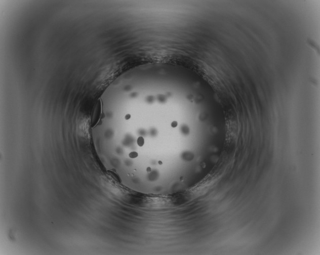 X0000096670286200802191336