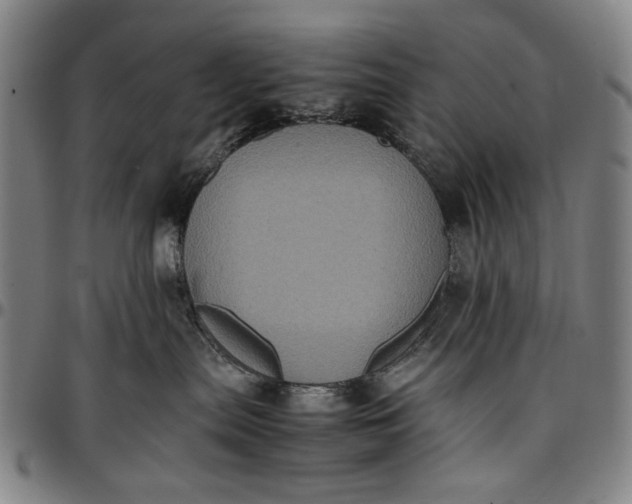 X0000096670287200802191336