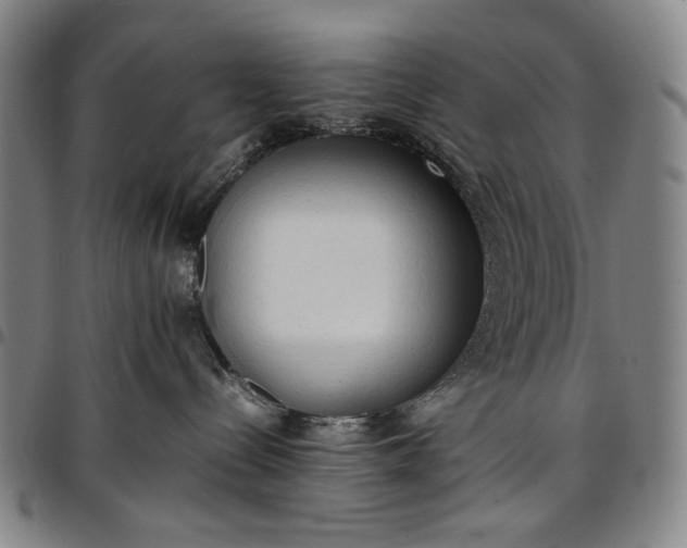 X0000096670288200802191336