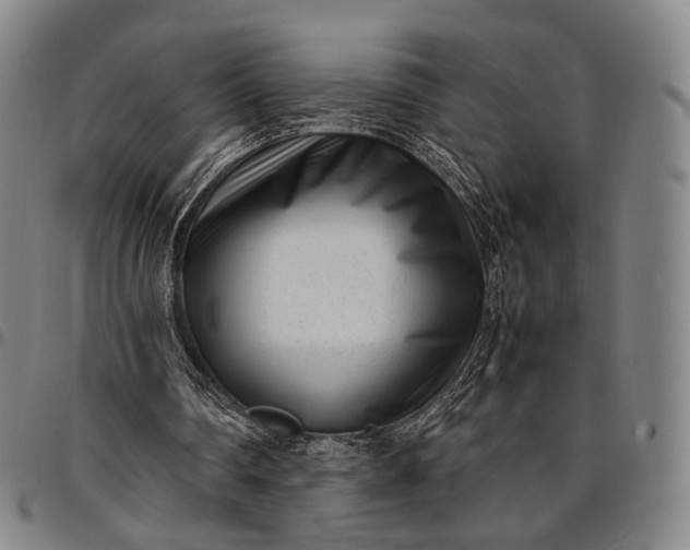 X0000096670290200802191335