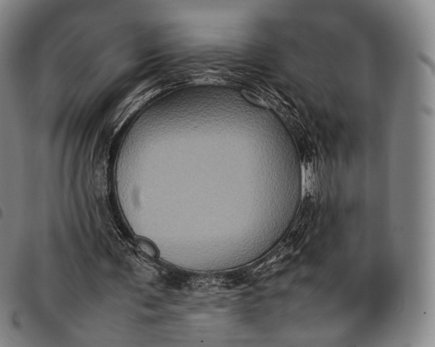 X0000096670291200802191335