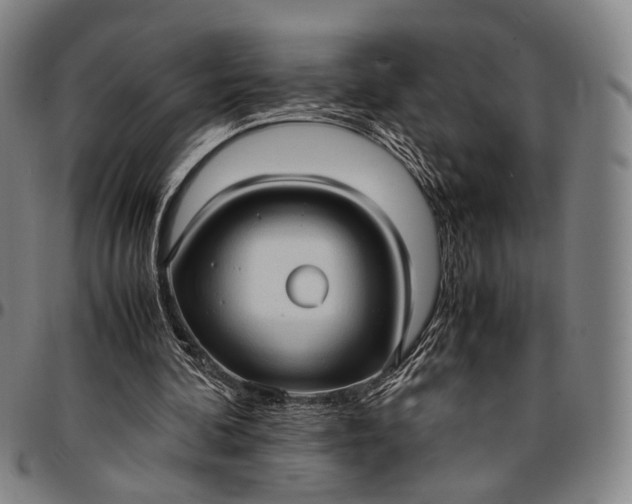 X0000096670292200802191335