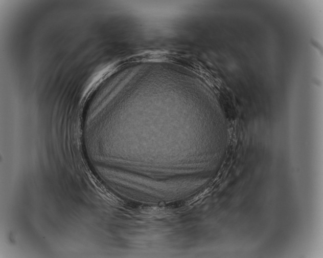X0000096670293200802191335