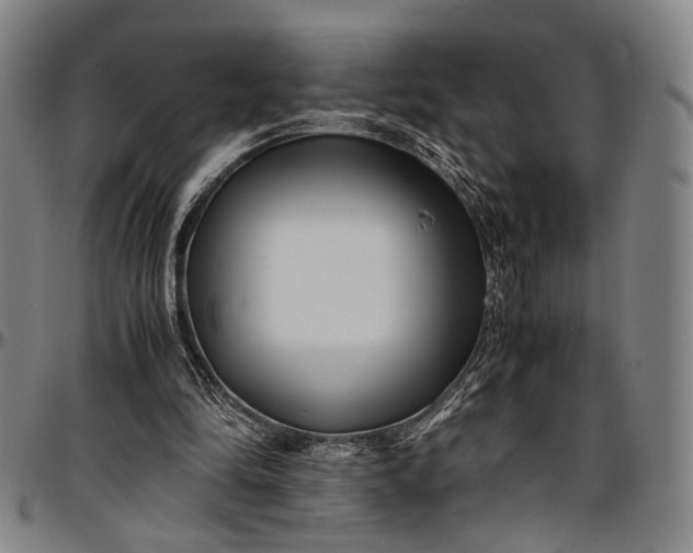 X0000096670294200802191335