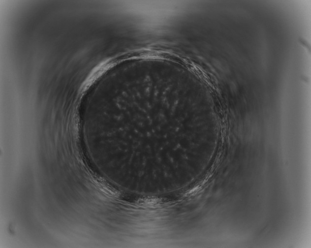 X0000096670295200802191335