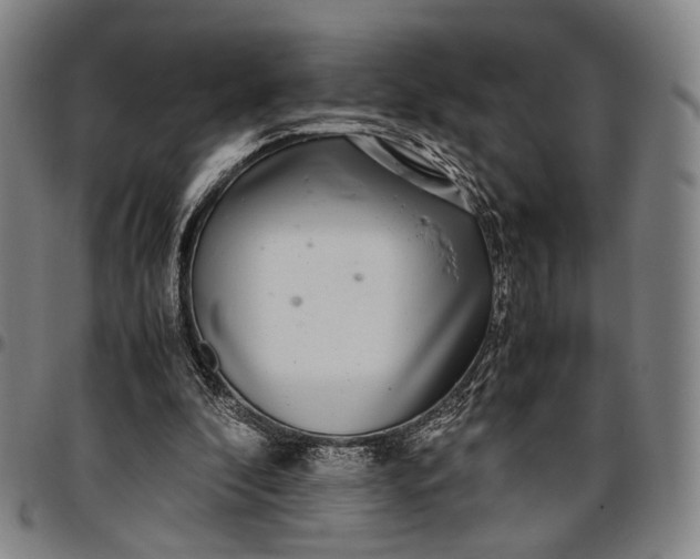 X0000096670296200802191335