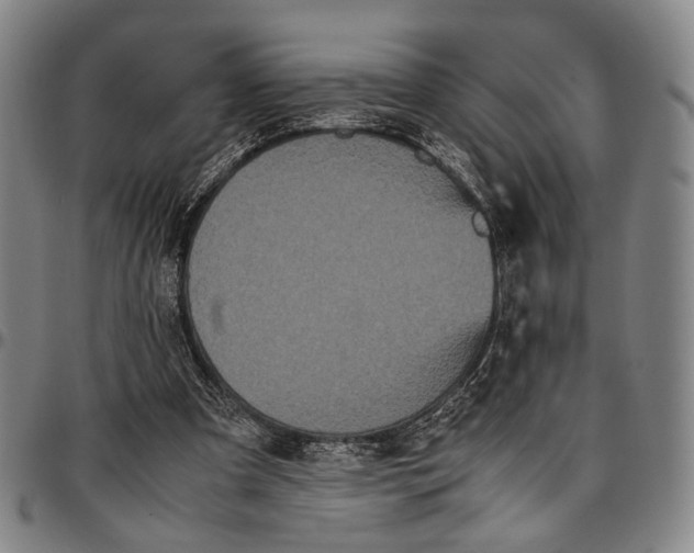 X0000096670297200802191335