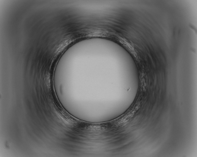 X0000096670298200802191335