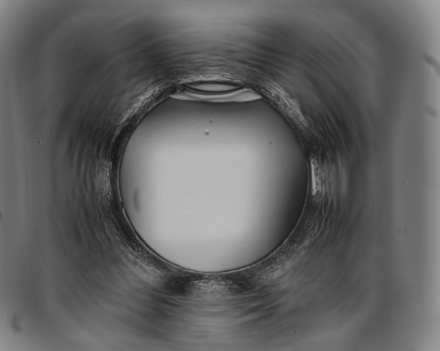 X0000096670300200802191335