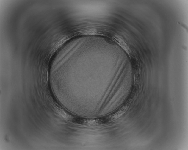X0000096670301200802191335