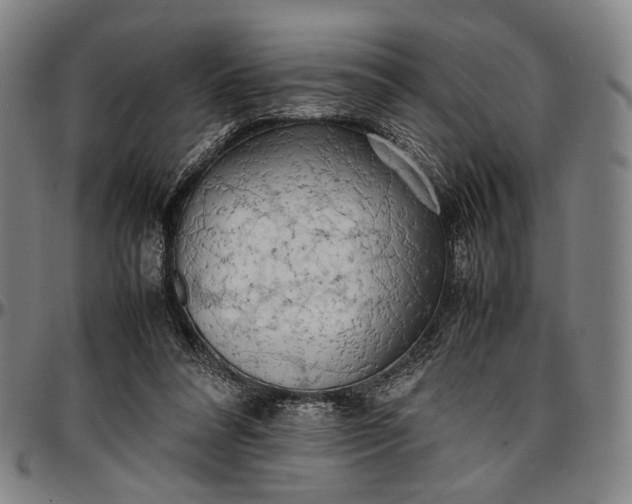 X0000096670304200802191335