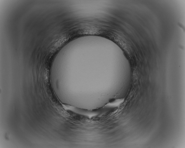 X0000096670305200802191335