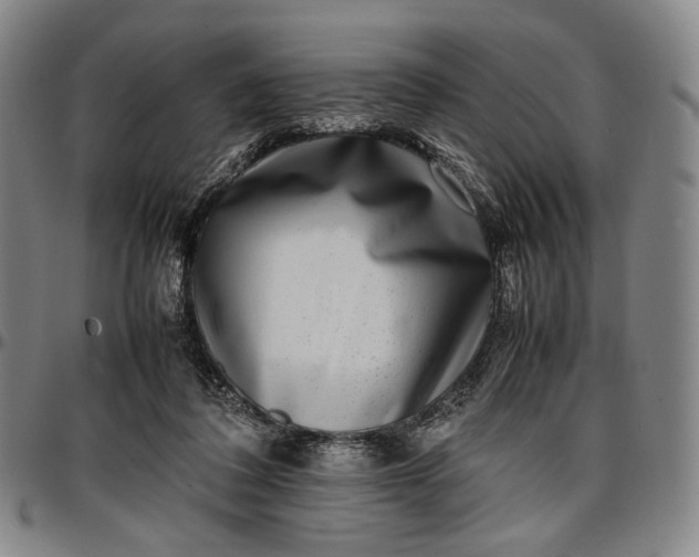 X0000096670308200802191335
