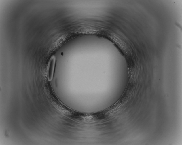 X0000096670309200802191335
