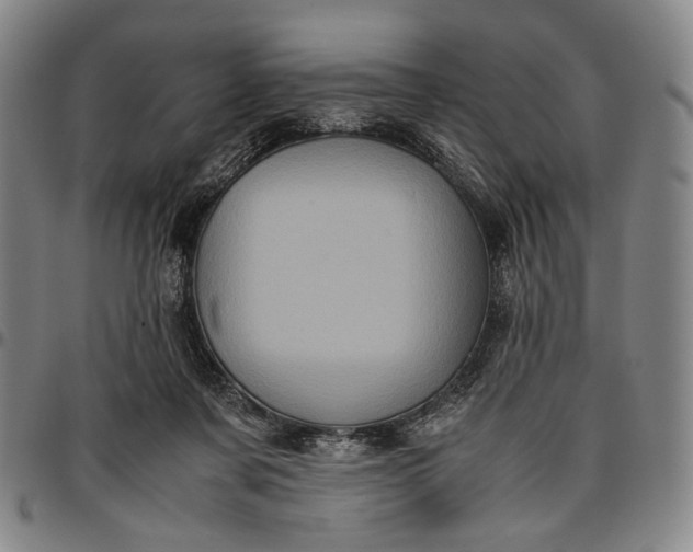 X0000096670311200802191335
