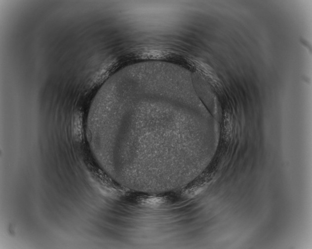 X0000096670312200802191335