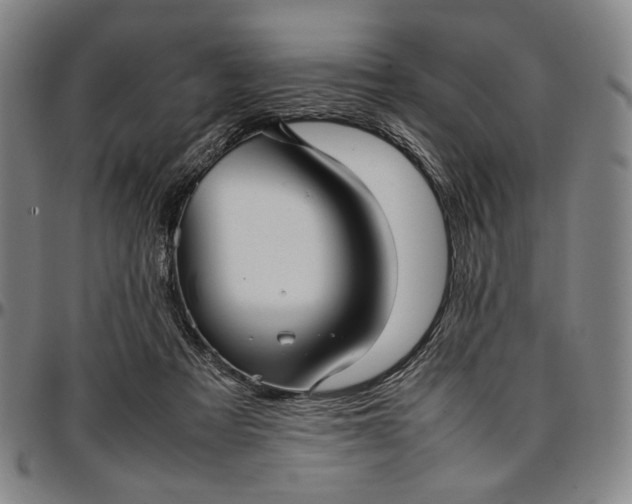 X0000096670313200802191335