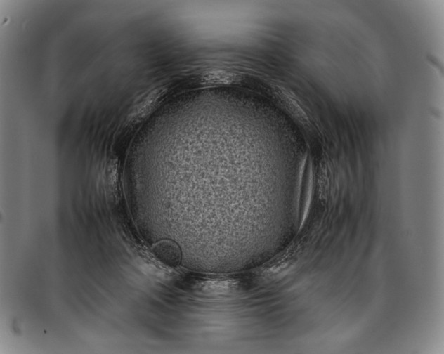 X0000096670314200802191335