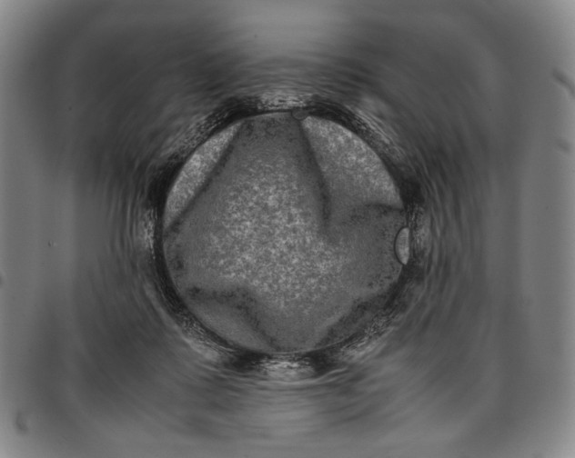 X0000096670315200802191335