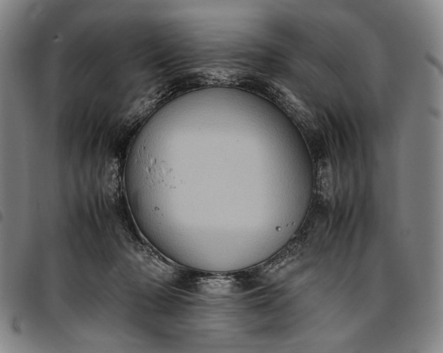 X0000096670318200802191335