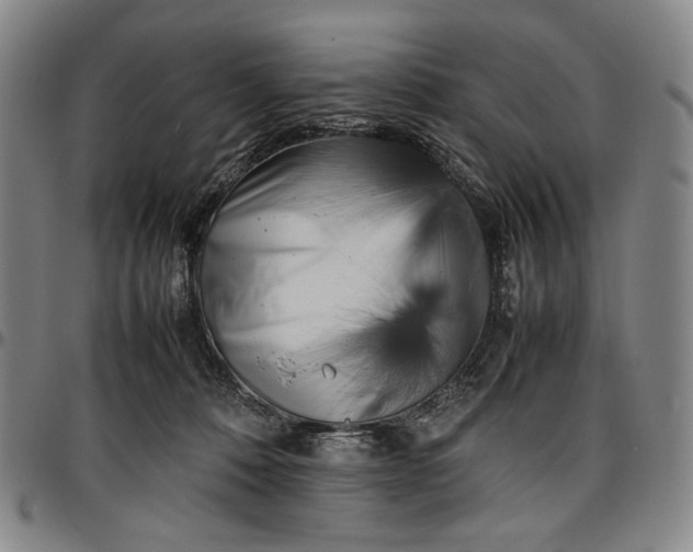 X0000096670320200802191335