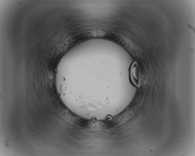 X0000096670321200802191335
