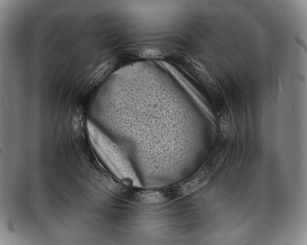 X0000096670322200802191335