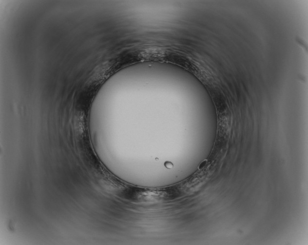 X0000096670323200802191335