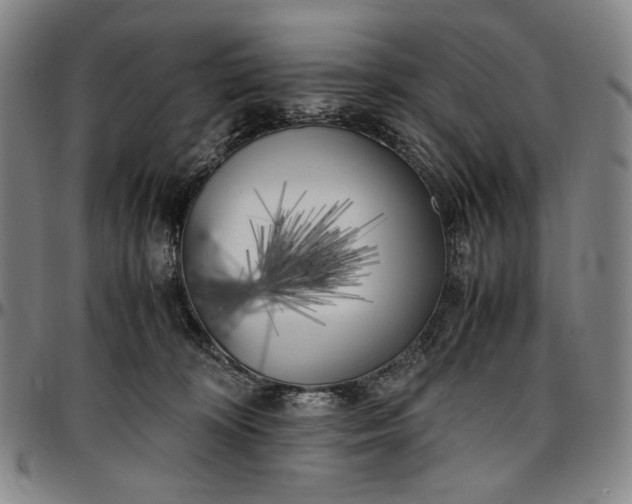 X0000096670324200802191335