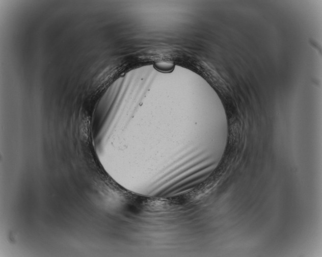 X0000096670325200802191335