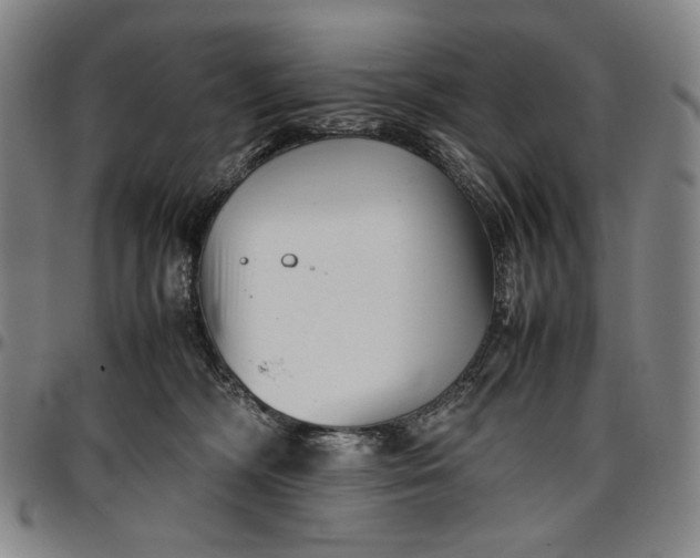 X0000096670326200802191335