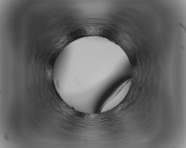 X0000096670329200802191335