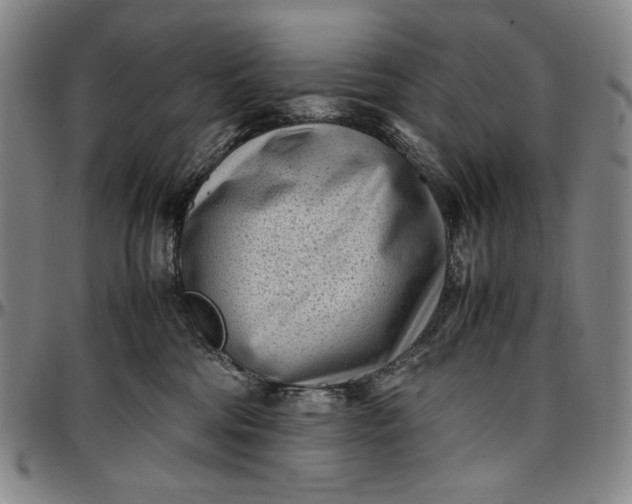 X0000096670330200802191335