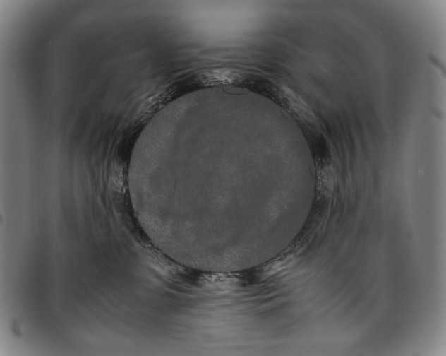 X0000096670331200802191335
