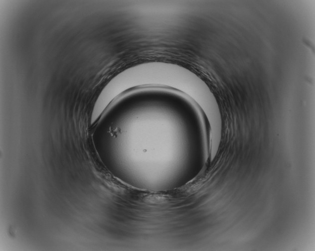 X0000096670332200802191335