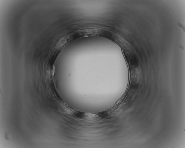 X0000096670333200802191335