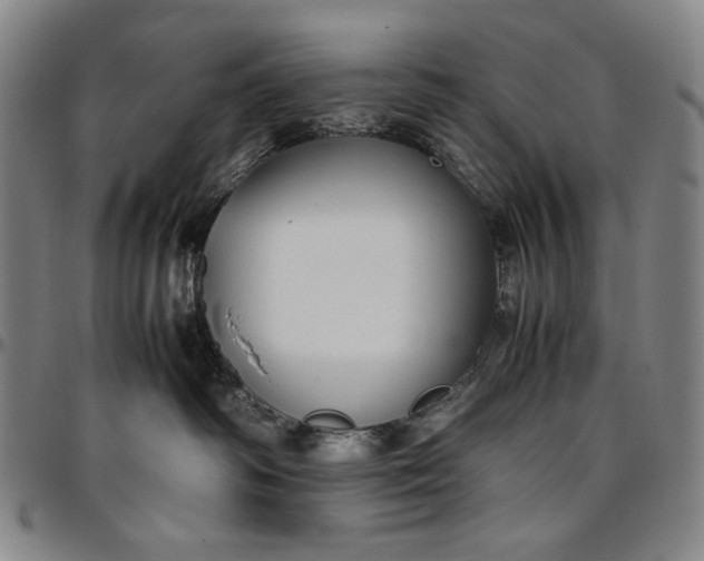 X0000096670334200802191335