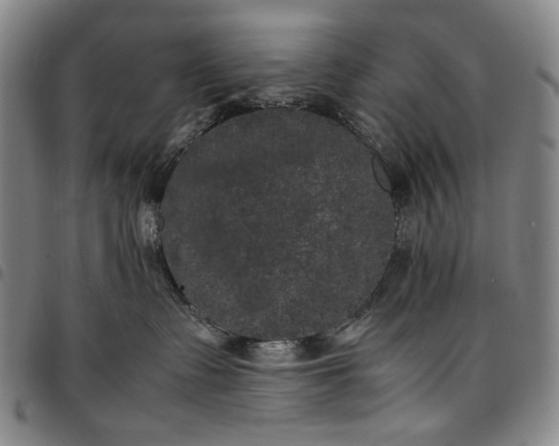 X0000096670335200802191335