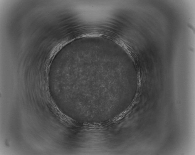 X0000096670337200802191334