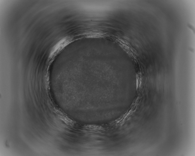 X0000096670339200802191334