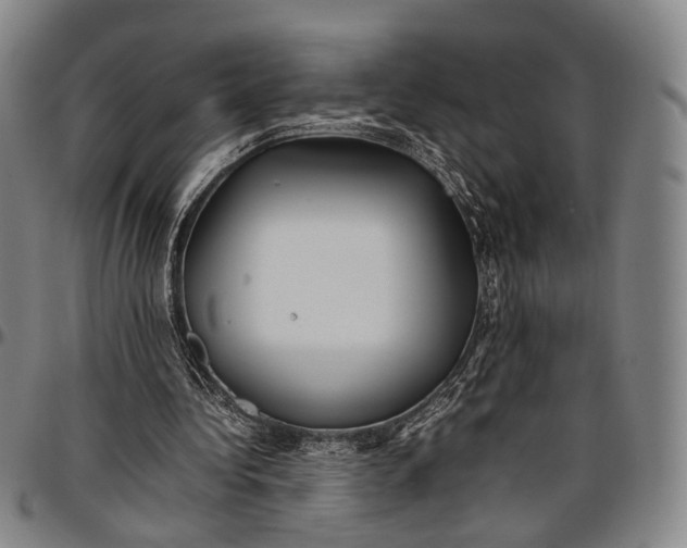 X0000096670340200802191334