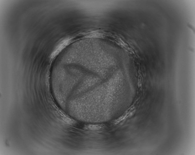 X0000096670341200802191334