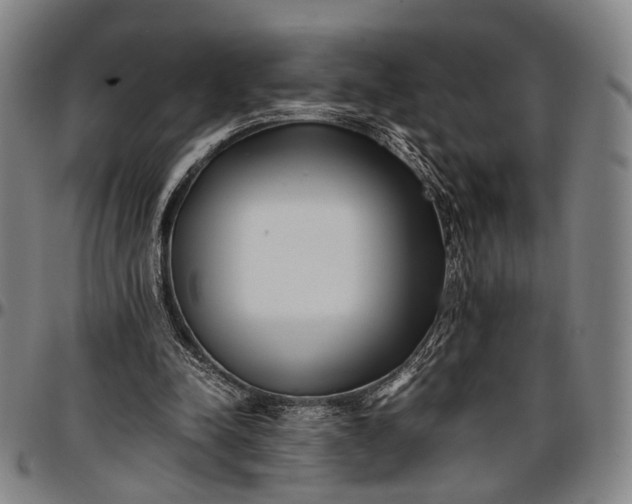 X0000096670342200802191334