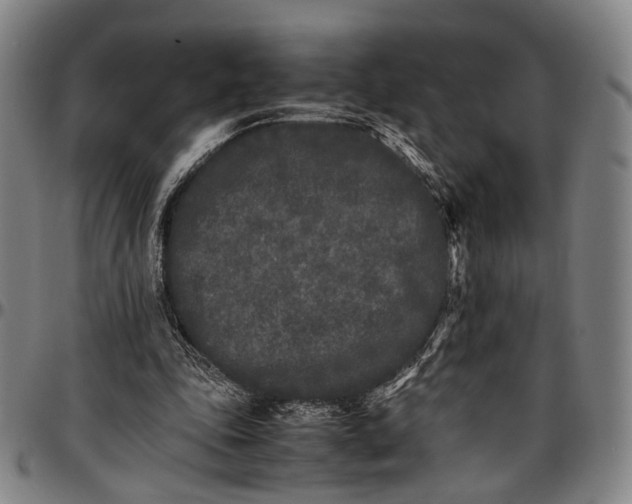 X0000096670343200802191334