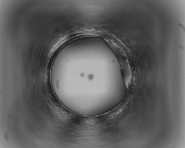 X0000096670344200802191334
