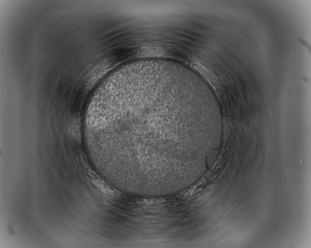X0000096670345200802191334