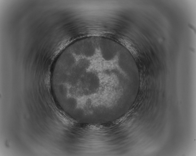X0000096670346200802191334