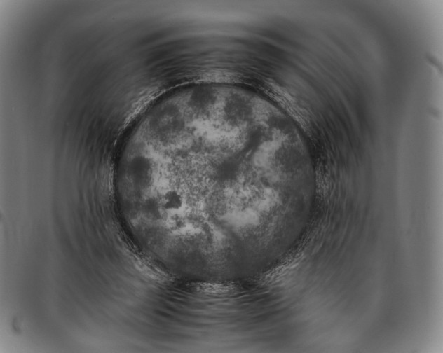 X0000096670347200802191334